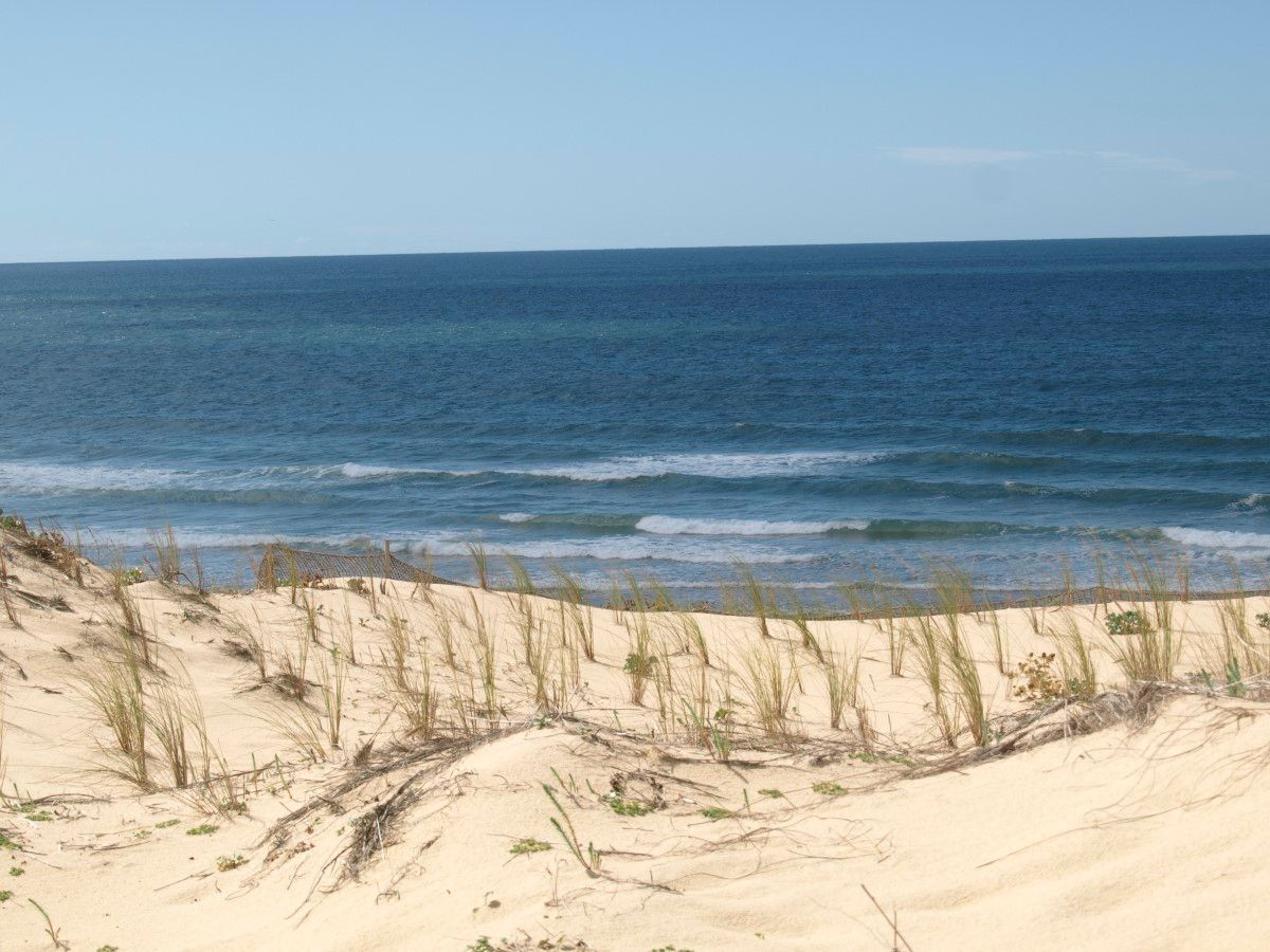 Meine Lieblingsautoren